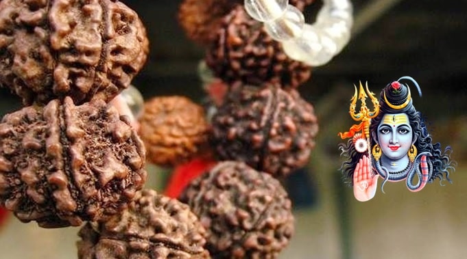 Rudraksha or “Tears of Shiva” – What are the Important Celestial Effects?
