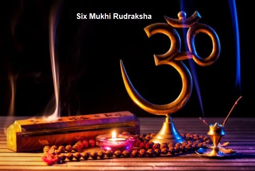 Six Mukhi Rudraksha: Importance, Benefits, Power, Significance & Procedure to Wear